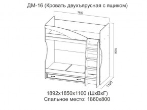 ДМ-16 Кровать двухъярусная с ящиком в Нижней Туре - nizhnyaya-tura.магазин96.com | фото