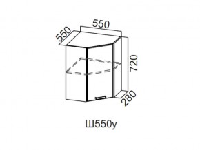 Ш550у/720 Шкаф навесной 550/720 (угловой) в Нижней Туре - nizhnyaya-tura.магазин96.com | фото