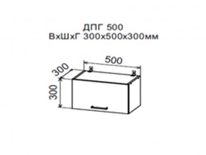 Шкаф верхний ДПГ500 горизонтальный в Нижней Туре - nizhnyaya-tura.магазин96.com | фото