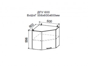Шкаф верхний ДПУ600 угловой в Нижней Туре - nizhnyaya-tura.магазин96.com | фото